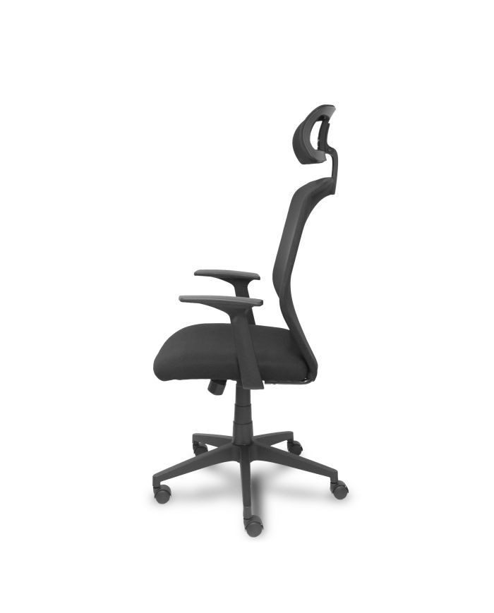 Silla Ergonómica Parolis respaldo con cabecero y asiento aran