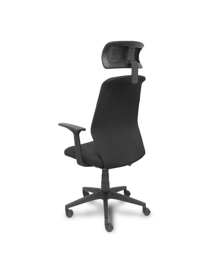 Silla Ergonómica Parolis respaldo con cabecero y asiento aran