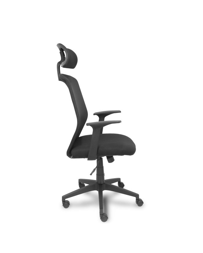 Silla Ergonómica Parolis respaldo con cabecero y asiento aran