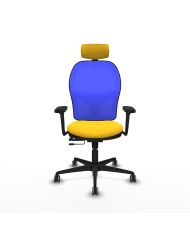 Silla Ergonómica Jorquera traslack brazos 3D base nailon cabecero 2D engomada