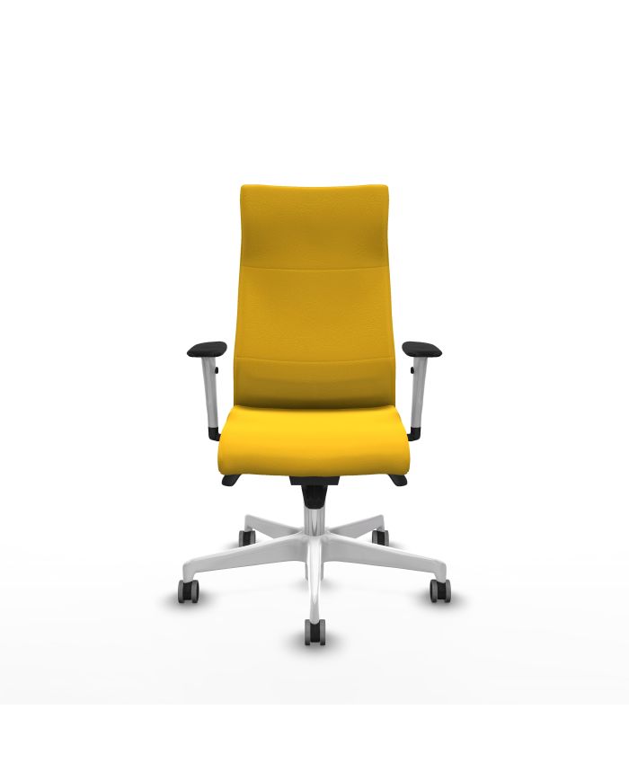 Silla Ergonómica Albacete dirección sincro brazos 1D
