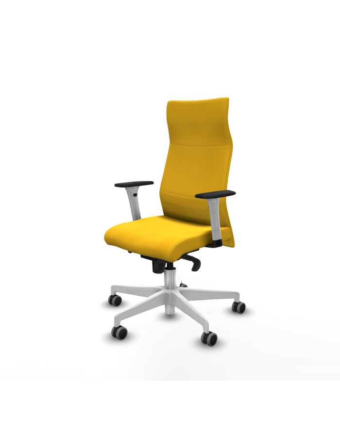 Silla Ergonómica Albacete dirección sincro brazos 1D