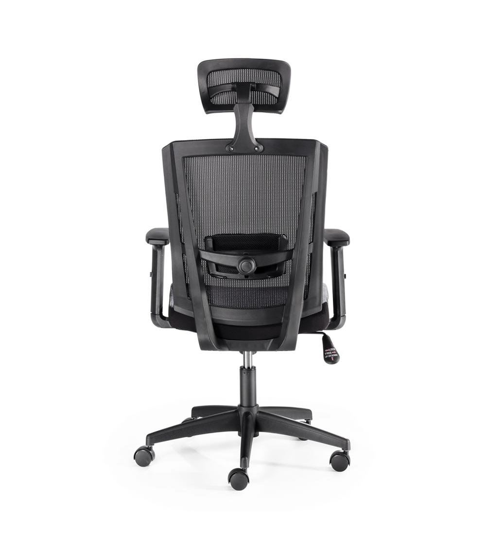 Silla ergonómica SOFIA de Euromof, uso recomendado 8 horas-2 Silla ergonómica SOFIA de Euromof, uso recomendado 8 horas-2