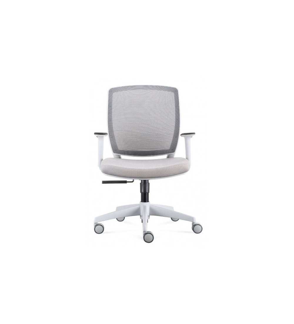 Silla ergonómica de oficina modelo FLEXORA  Grey, brazos regulables