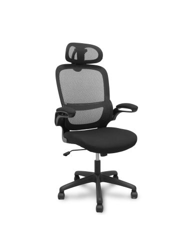 Silla Ergonómica Pro525 respaldo asiento color y cabecero