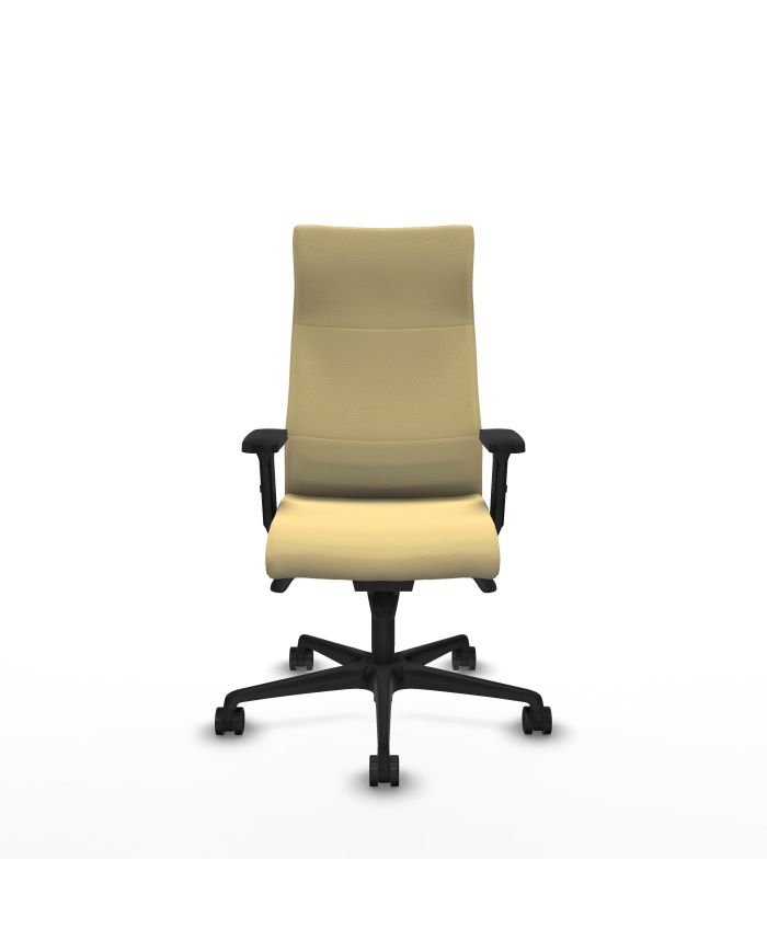 Silla Ergonómica Albacete dirección sincro brazos 2D base