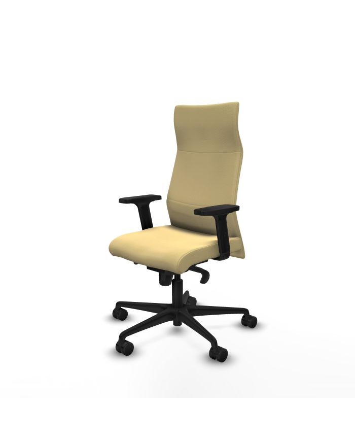Silla Ergonómica Albacete dirección sincro brazos 2D base