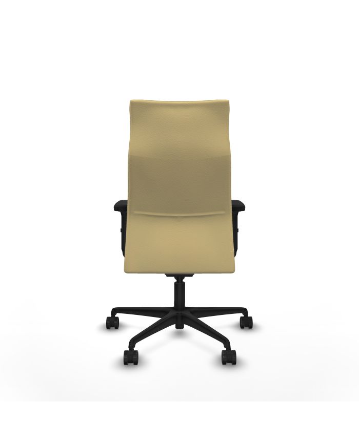 Silla Ergonómica Albacete dirección sincro brazos 2D base