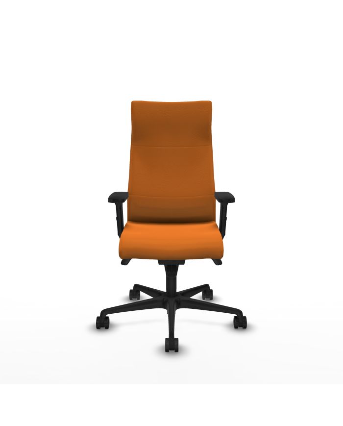 Silla Ergonómica Albacete dirección sincro brazos 2D base