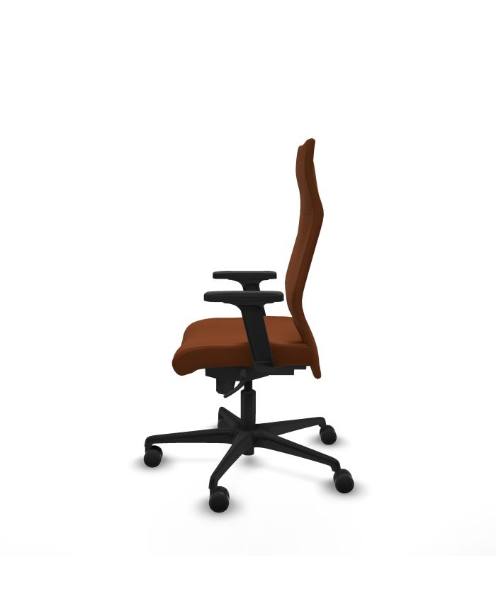 Silla Ergonómica Albacete dirección sincro brazos 2D base