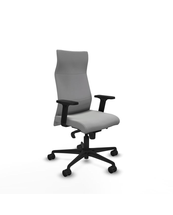 Silla Ergonómica Albacete dirección sincro brazos 2D base