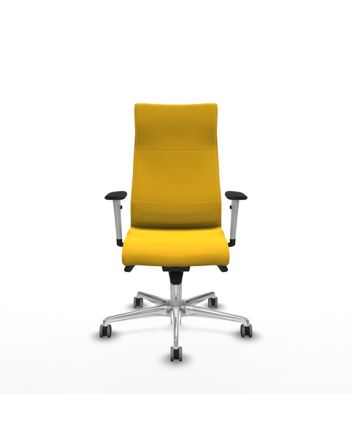 Silla Ergonómica Albacete dirección sincro brazos 1D