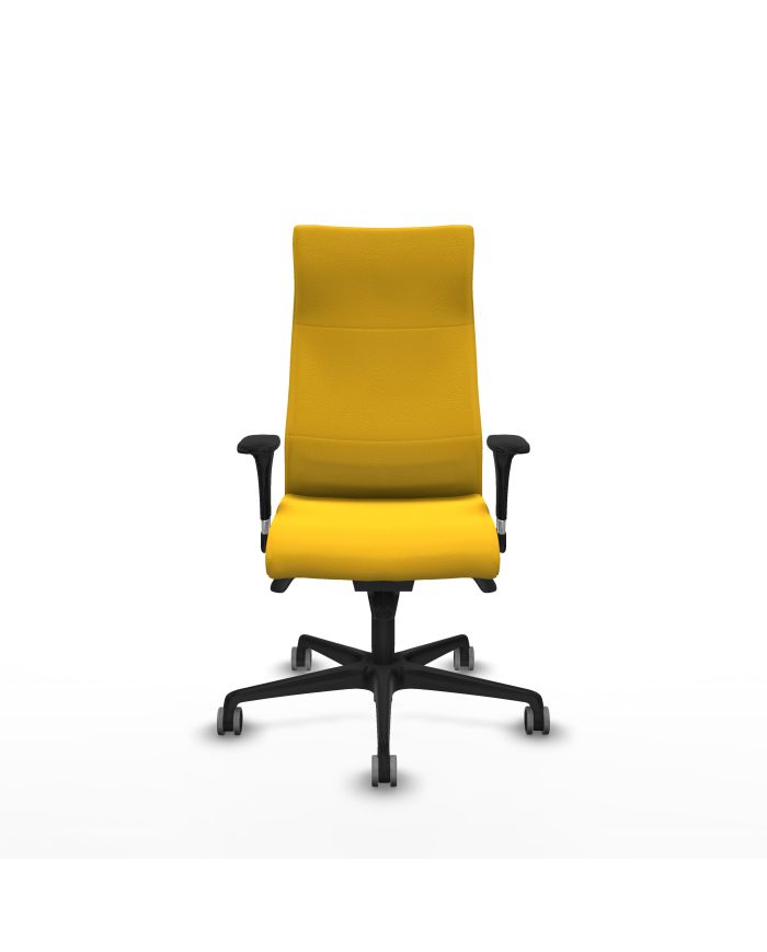 Silla Ergonómica Albacete dirección sincro brazos 1D