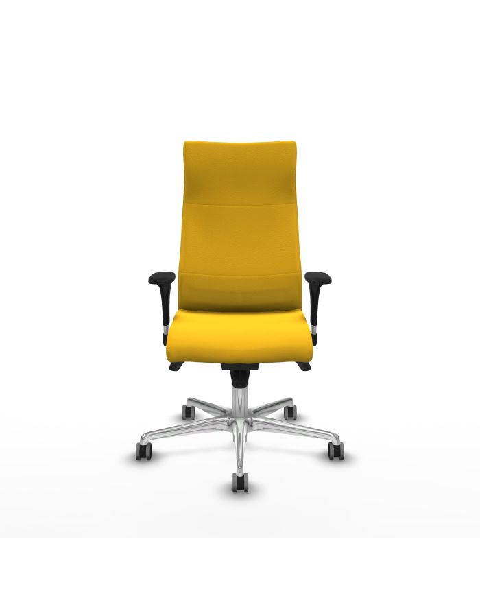Silla Ergonómica Albacete dirección sincro brazos 1D
