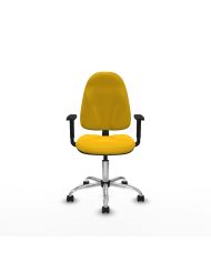 Silla Ergonómica Algarra CP bali brazos 1D base cromada