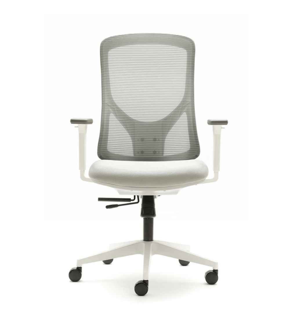 Silla ergonómica NANTES de Euromof, en acabado blanco-0 Silla ergonómica NANTES de Euromof, en acabado blanco-0