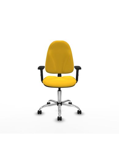 Silla Ergonómica Algarra CP brazos 2D base cromada