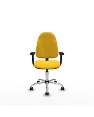 Silla Ergonómica Algarra CP brazos 2D base cromada