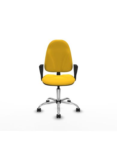 Silla Ergonómica Algarra CP brazos fijos base cromada