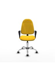 Silla Ergonómica Algarra CP brazos fijos base cromada