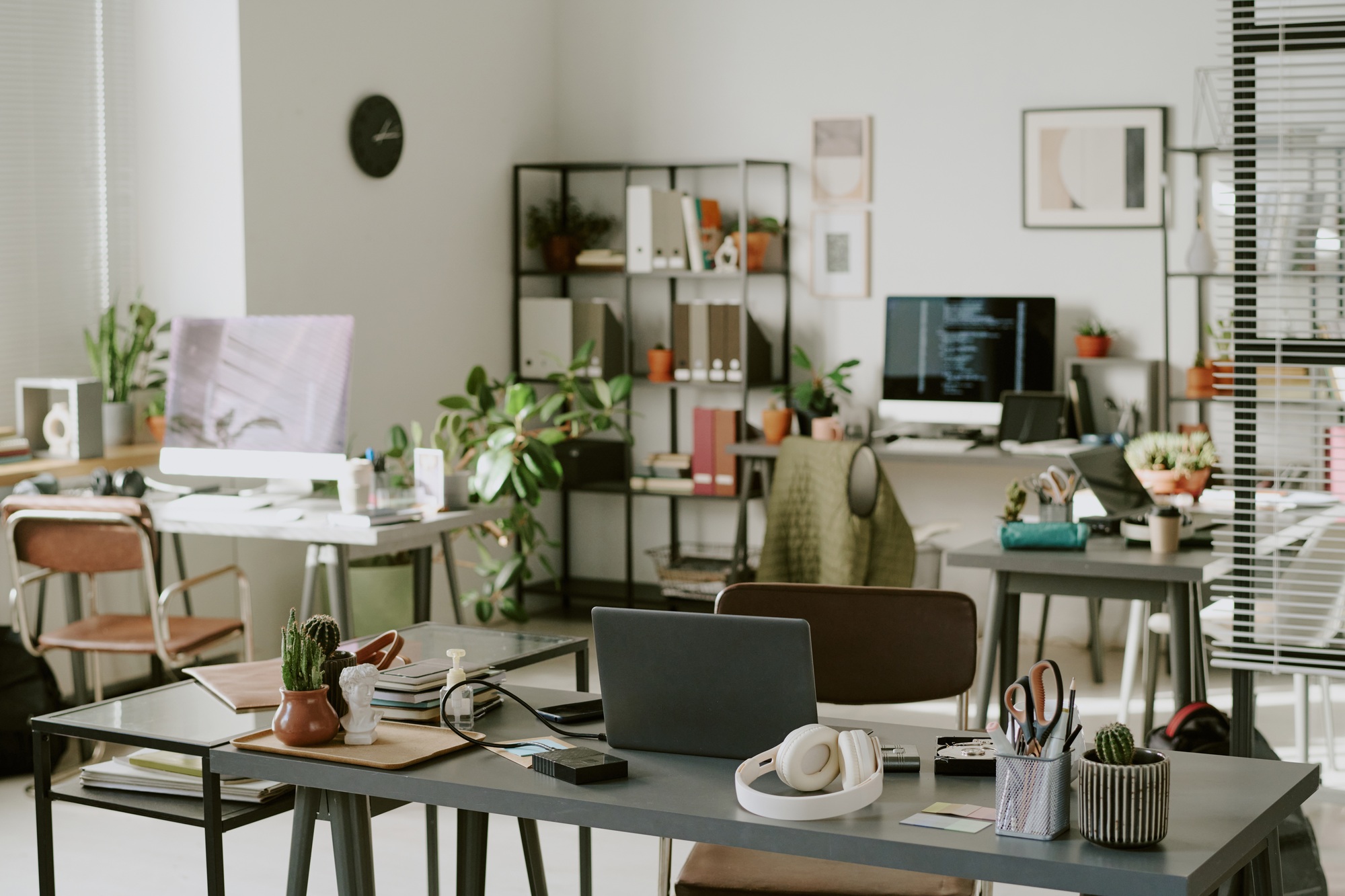 Programmer Office with Plants