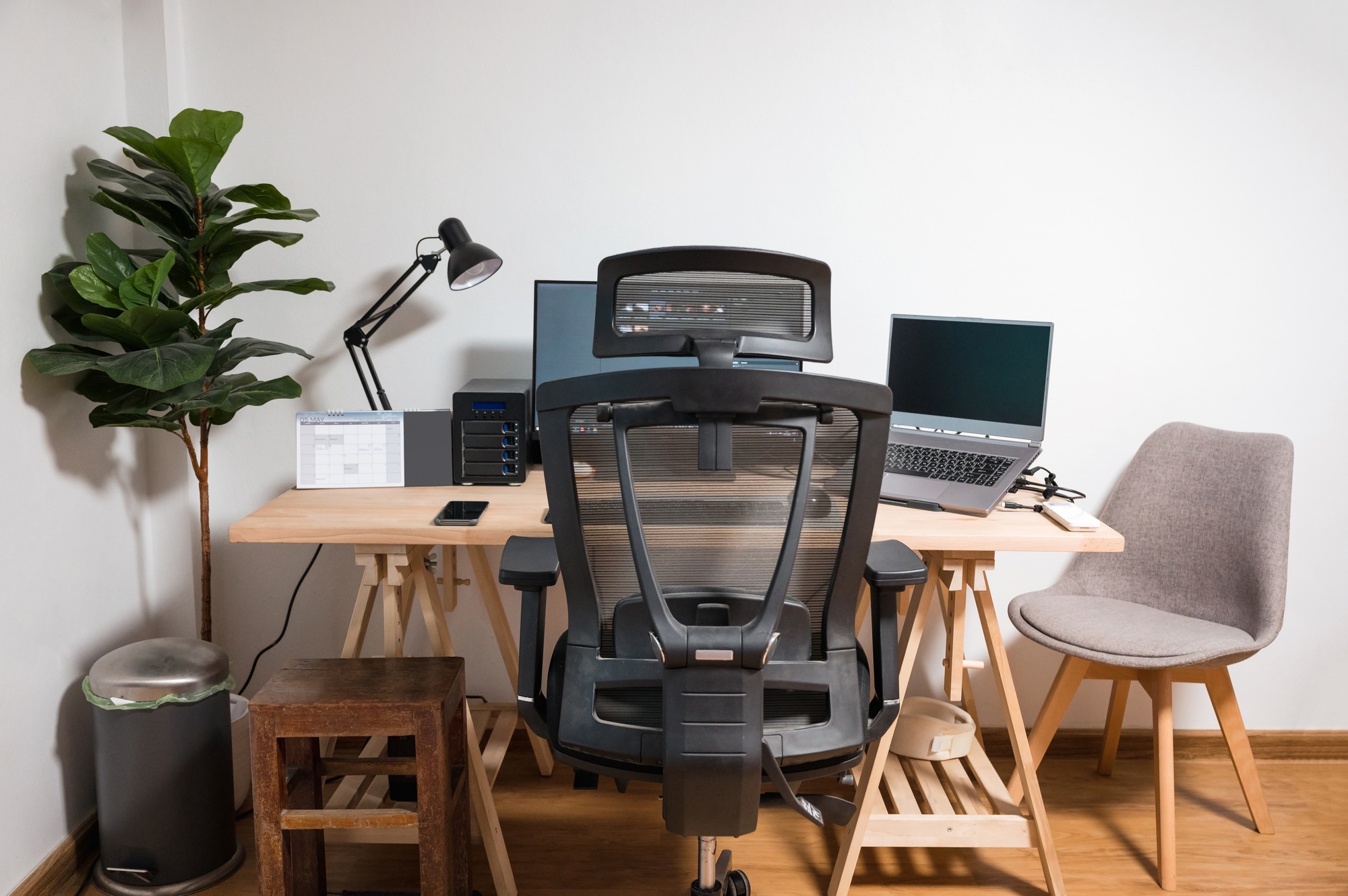 Wooden desk with laptop, display, mouse, lamp, ergonomic chair and artificial tree in workplace